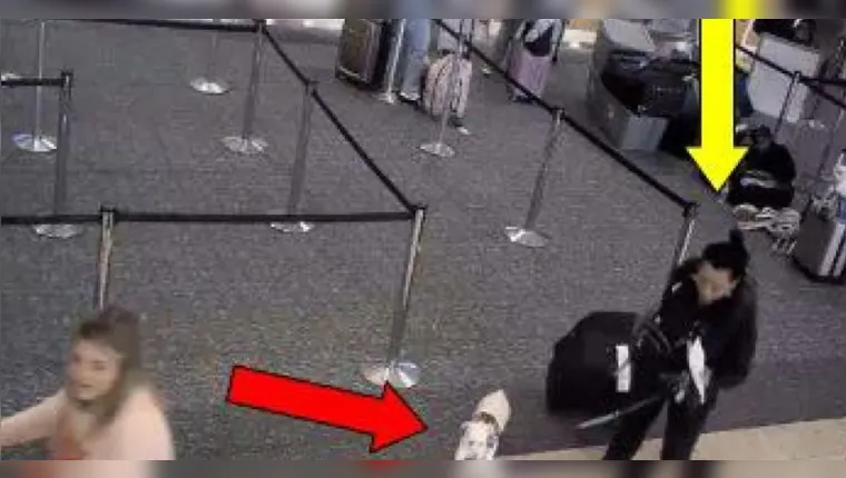 Mulher afoga cachorro em aeroporto para conseguir embarcar