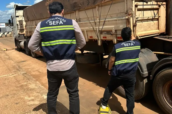 Sefa apreende 46 toneladas de soja em Dom Eliseu