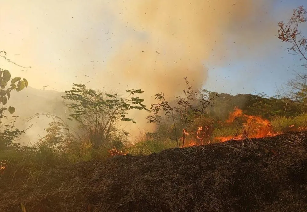 Força-tarefa contra queimadas segue ativa em Parauapebas