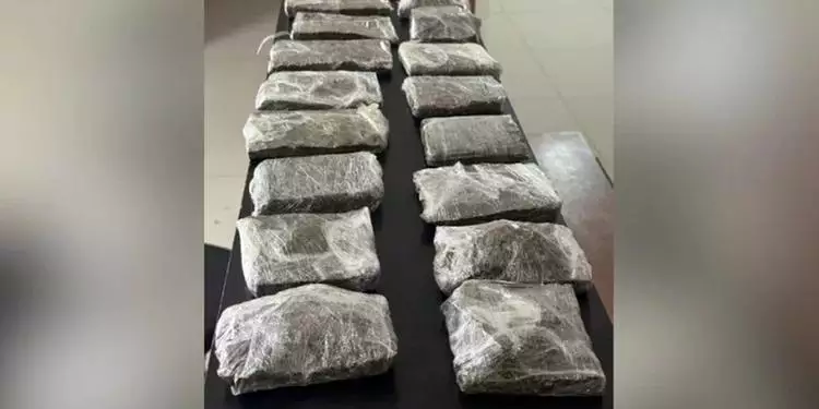 Mais de 1,6 kg de maconha são apreendidos e jovem é presa em Parauapebas