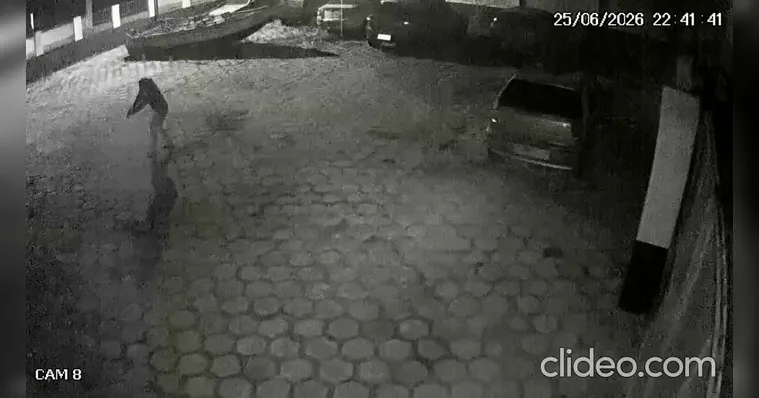 O homem foi agressivo, mas acabou rendido pelo delegado da unidade policial | Reprodução