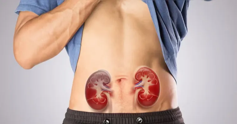 A obesidade aparece como uma nova vilã para doença renal | Reprodução/Freepik