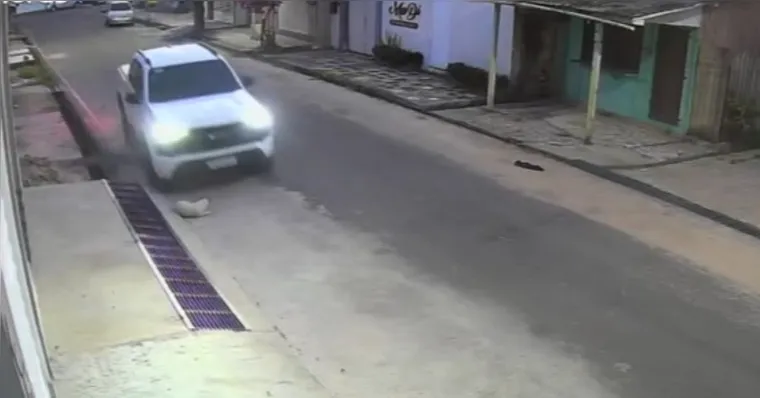 Câmeras de segurança registraram o momento em que camionete atropela cachorro em Abaetetuba. | ( Reprodução)