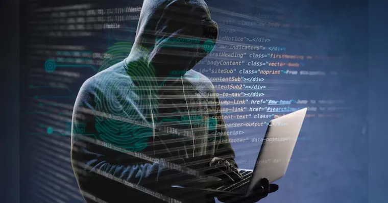 Os dados fazem parte de uma pesquisa sobre Privacidade e proteção de dados pessoais na internet. | (Freepik)