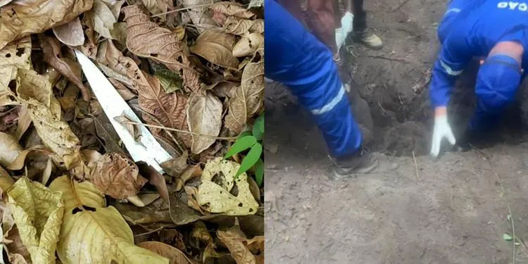 Adolescente de 15 anos é encontrada morta após desaparecer em Marabá. (Redes sociais)