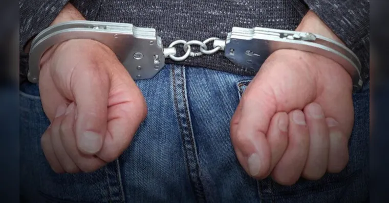 O suspeito arrastou o cachorro para uma área de mata, onde fez as agressões com pauladas | Divulgação