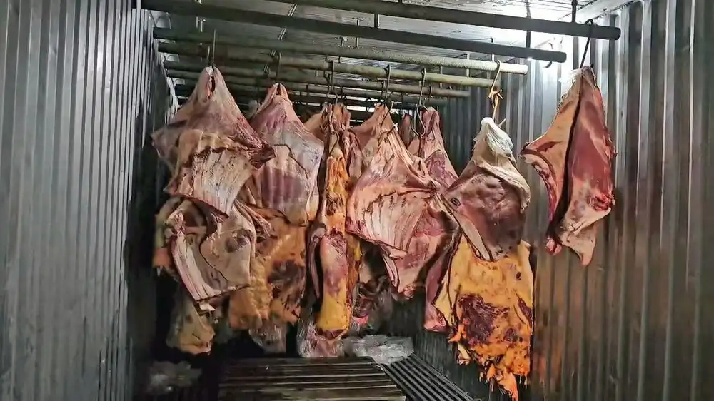 Empresa é acusada de revender 800 toneladas de carne que ficou submersa em enchente