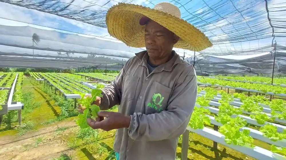 Produtores Rurais de Parauapebas denunciam prejuízos causados por aplicação irregular de agrotóxicos